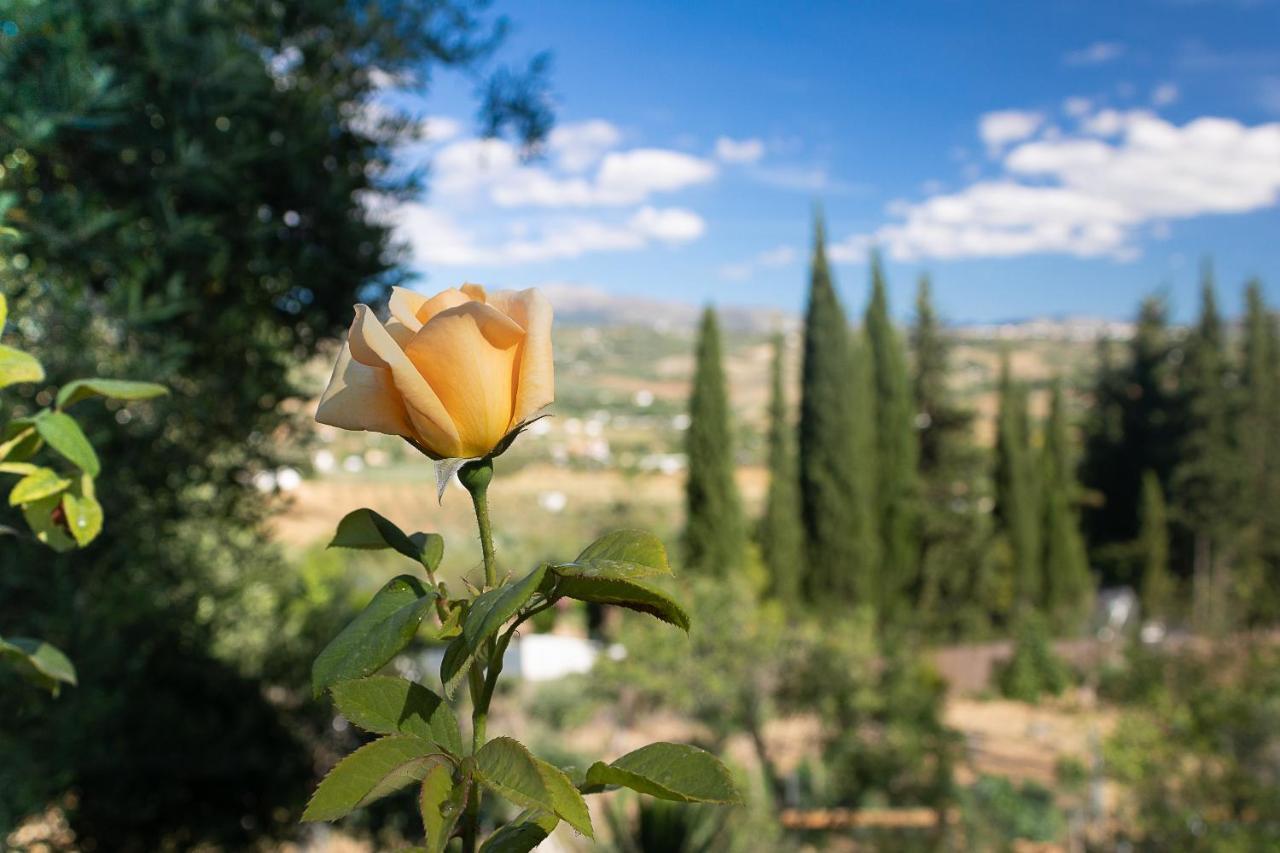 Casa Rural La Pedra Ronda Dış mekan fotoğraf