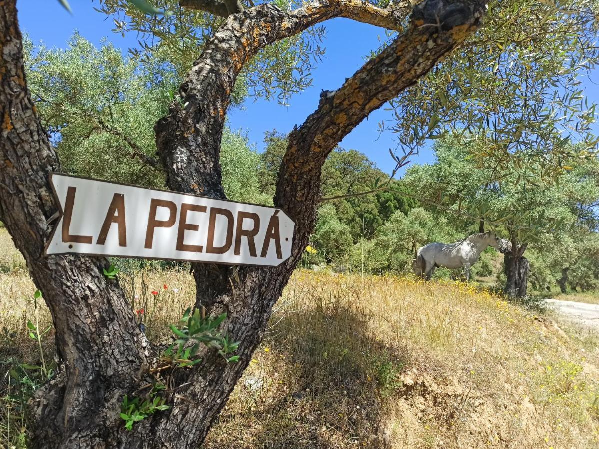 Casa Rural La Pedra Ronda Dış mekan fotoğraf