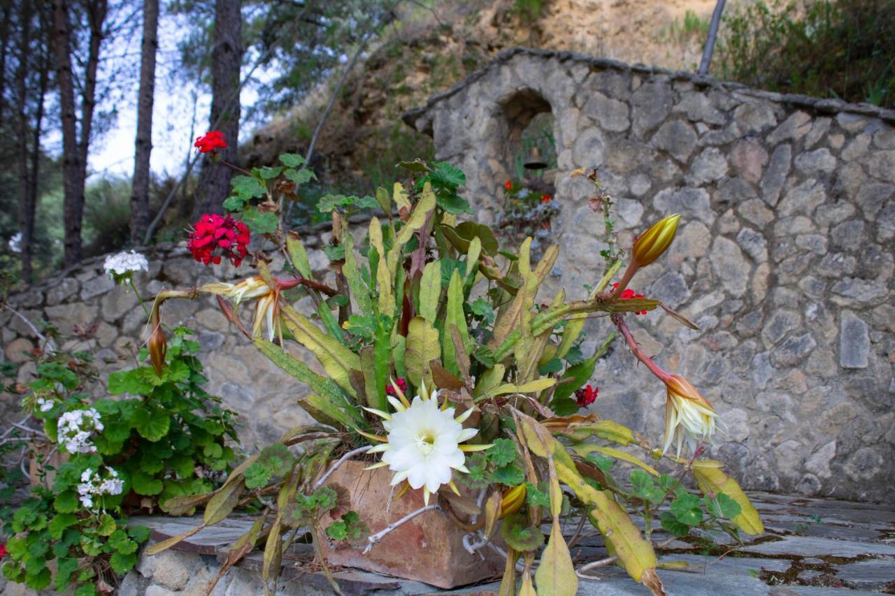 Casa Rural La Pedra Ronda Dış mekan fotoğraf